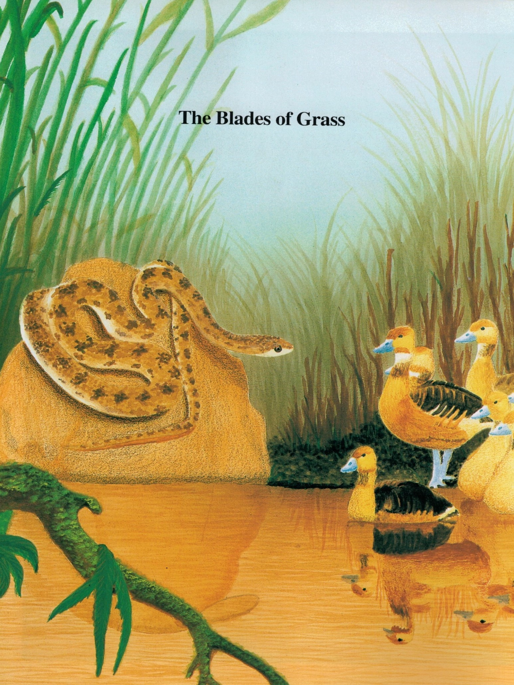 Allah Created Everything - Premium Textbook from IQRA' international Educational Foundation - Just $4! Shop now at IQRA Book Center