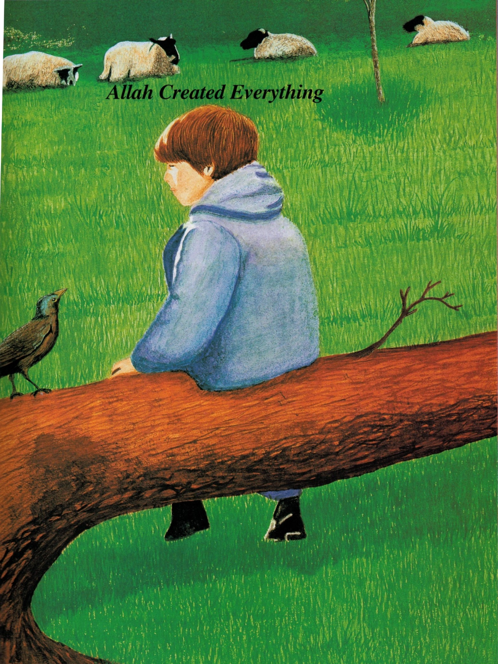 Allah Created Everything - Premium Textbook from IQRA' international Educational Foundation - Just $4! Shop now at IQRA Book Center