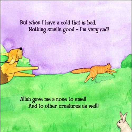 Allah Gave Me a Nose to Smell - Premium  from Islamic Foundation, UK - Just $8! Shop now at IQRA.ORG