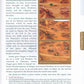 The Sealed Nectar (Deluxe Colored Edition) Biography of the Prophet Muhammad