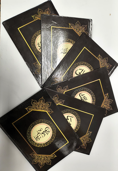 30 Para Set Persn Script 9-Line  Indo-Pak script  HC