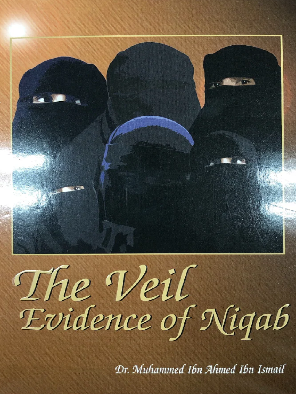 Veil Evidence of Niqab