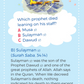 Prophets Quiz 55 Cards