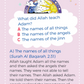 Prophets Quiz 55 Cards