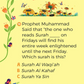 Hadith Quiz Cards - 55 Cards