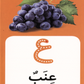 Activity Flash Cards Arabic Alphabet