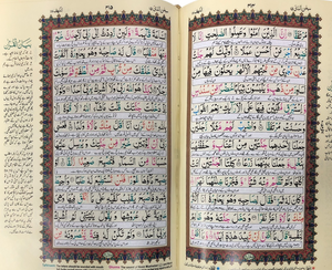 Ashraf Ali Thanvi Qur'an Tajweed Urdu H75 DLX
