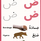 Activity Flash Cards: Arabic Alphabet