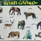 Picture Chart Set of 10 Animals & Fruits