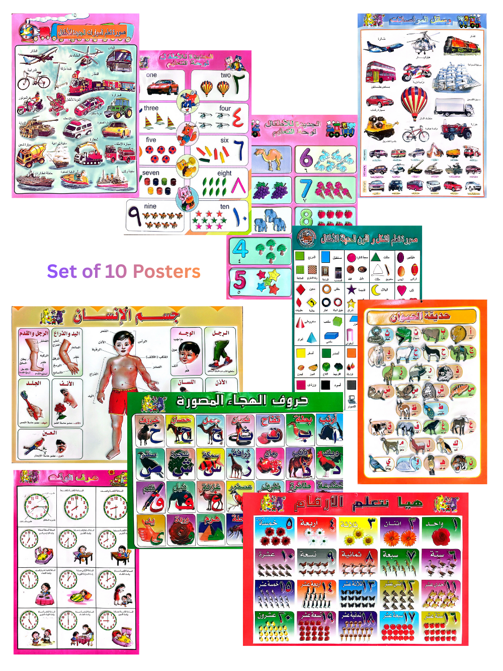 Picture Chart Set of 10 Arabic Words Numbers & More.