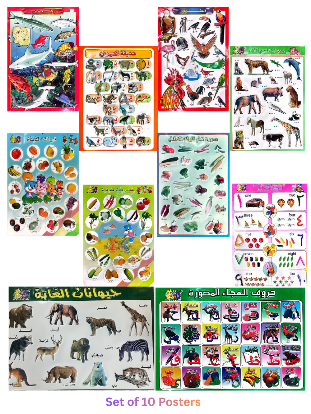 Picture Chart Set of 10 Animals & Fruits