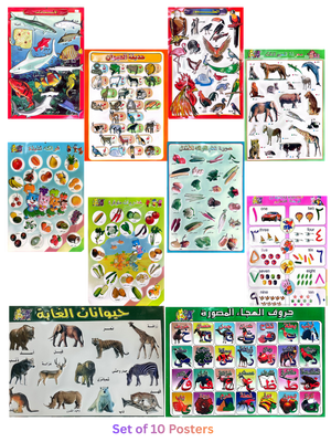Picture Chart Set of 10 Animals & Fruits