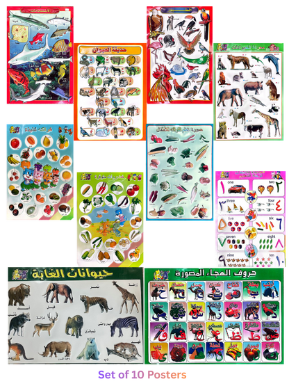 Picture Chart Set of 10 Animals & Fruits