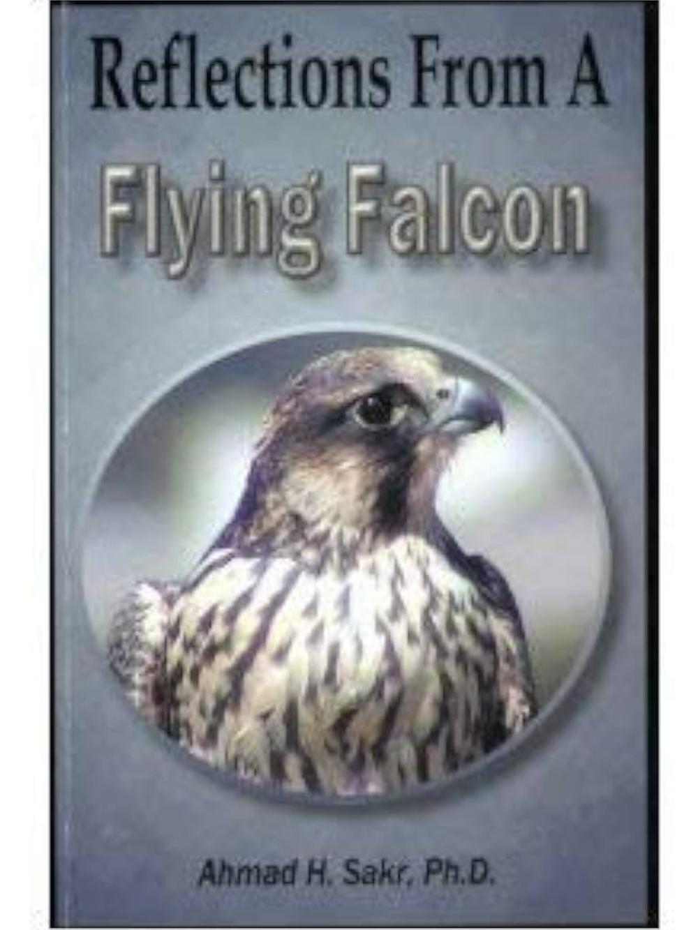 Reflections From A Flying Falcon