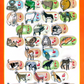Picture Chart Set of 10 Arabic Words Numbers & More.