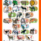 Picture Chart Set of 10 Animals & Fruits