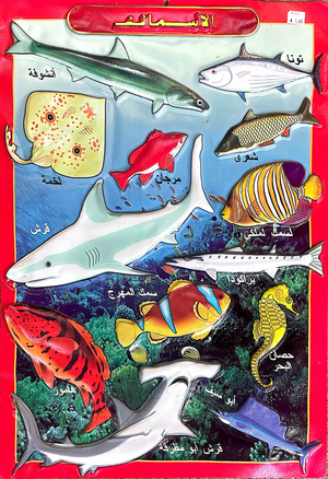 Picture Chart Set of 10 Animals & Fruits
