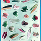 Picture Chart Set of 10 Animals & Fruits