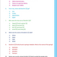 Message of Islam - Workbook - Level 1