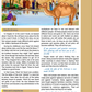 Message of Islam - Level 5